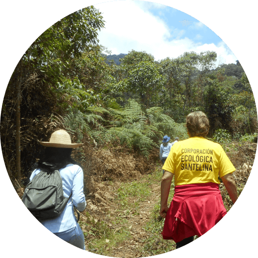 People hiking on a path with forest in the horizon

