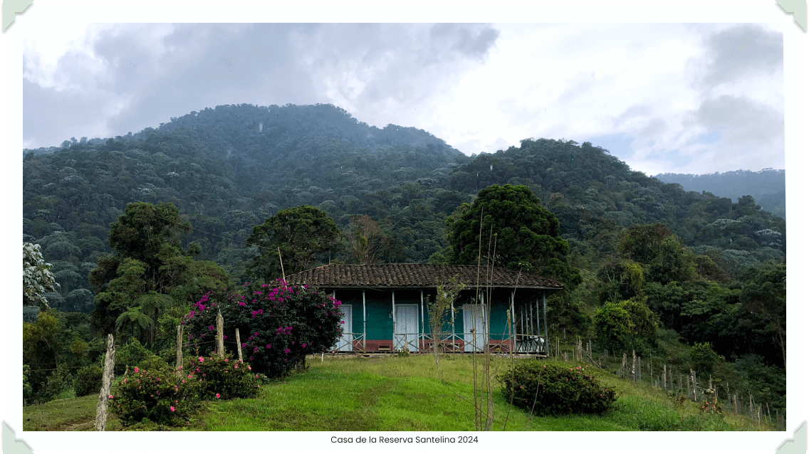 La casa Santelina después de 95 años