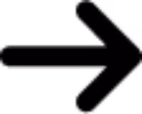 Black right-pointing arrow icon.
