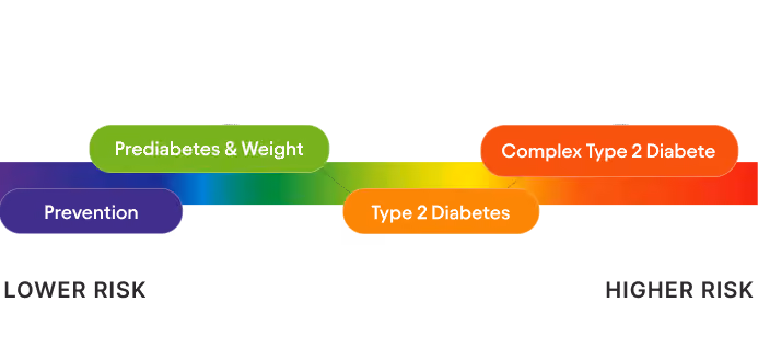 A horizontal risk spectrum gradient from lower risk on the left to higher risk on the right, with labeled stages: Prevention in purple, Prediabetes & Weight in green, Type 2 Diabetes in orange, and Complex Type 2 Diabetes in red.