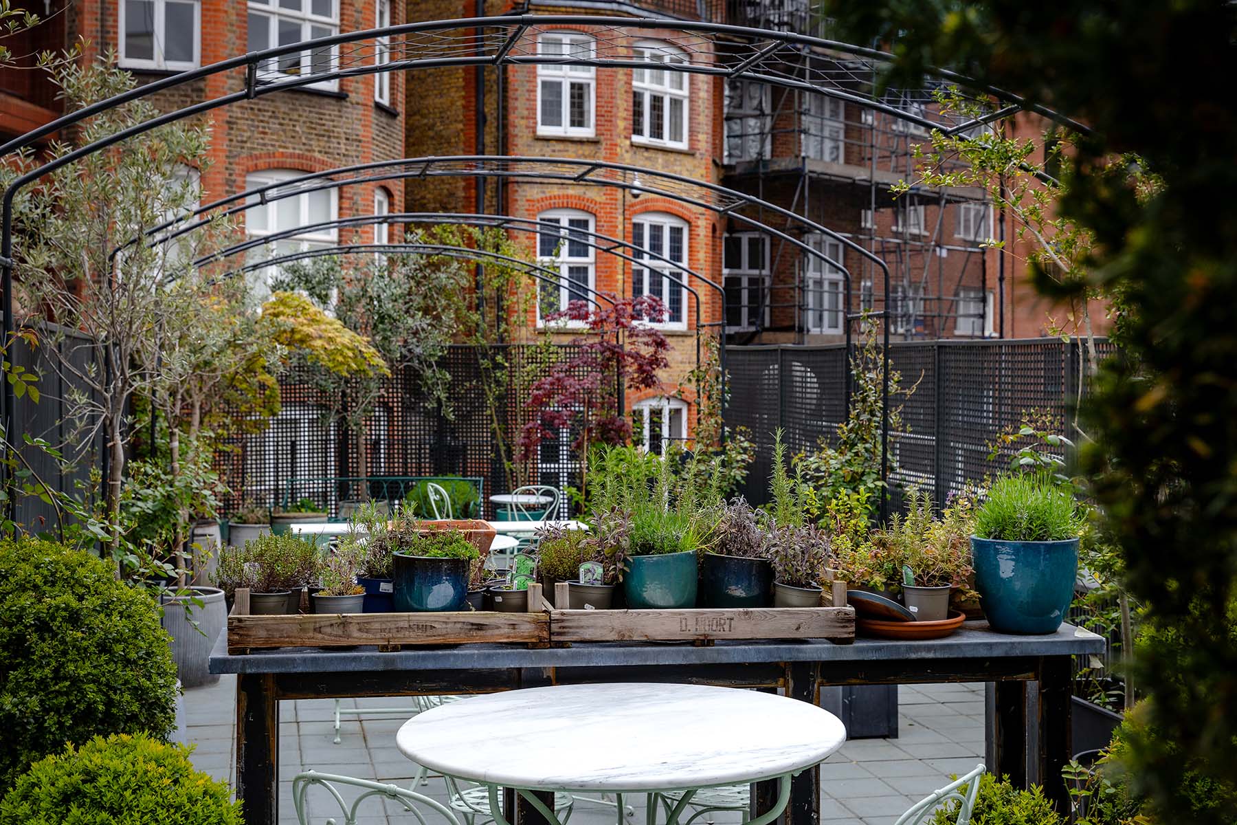 View of a hotel garden on Pavilion Road, London.