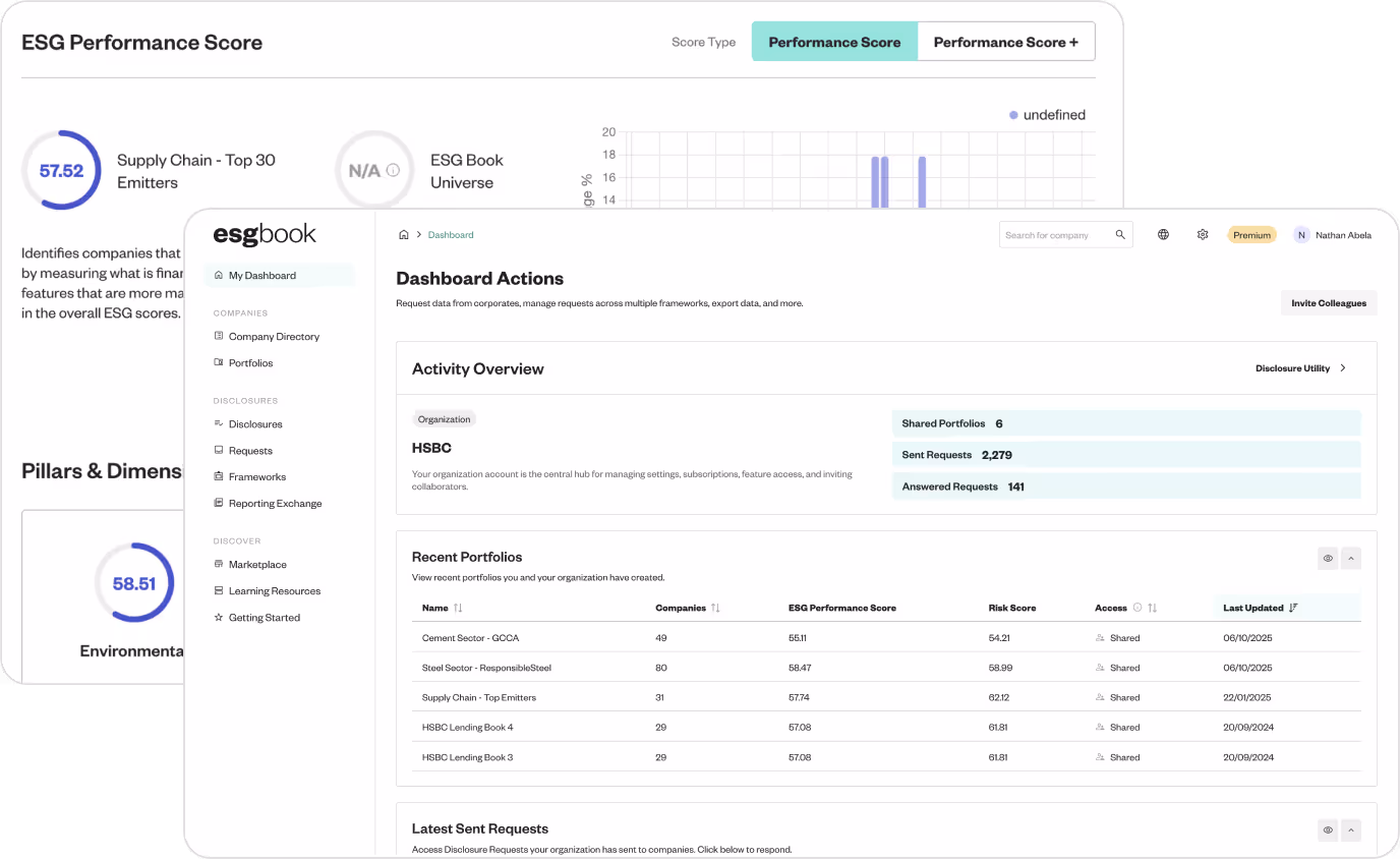 ESG dashboard showing portfolio details, performance scores, and organization metrics