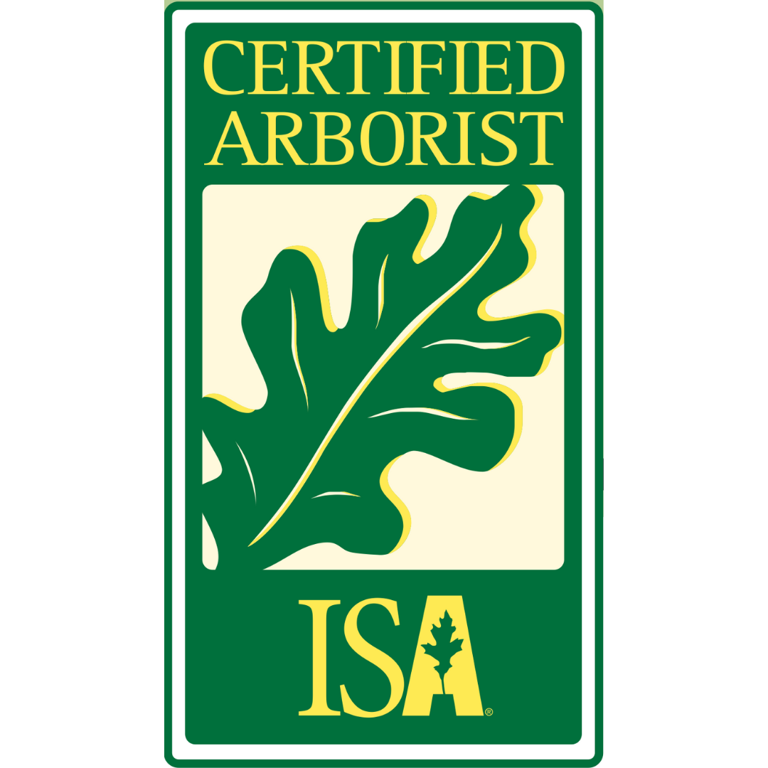The Role of TRAQ in Tree Care: Protecting People, Property, & Trees