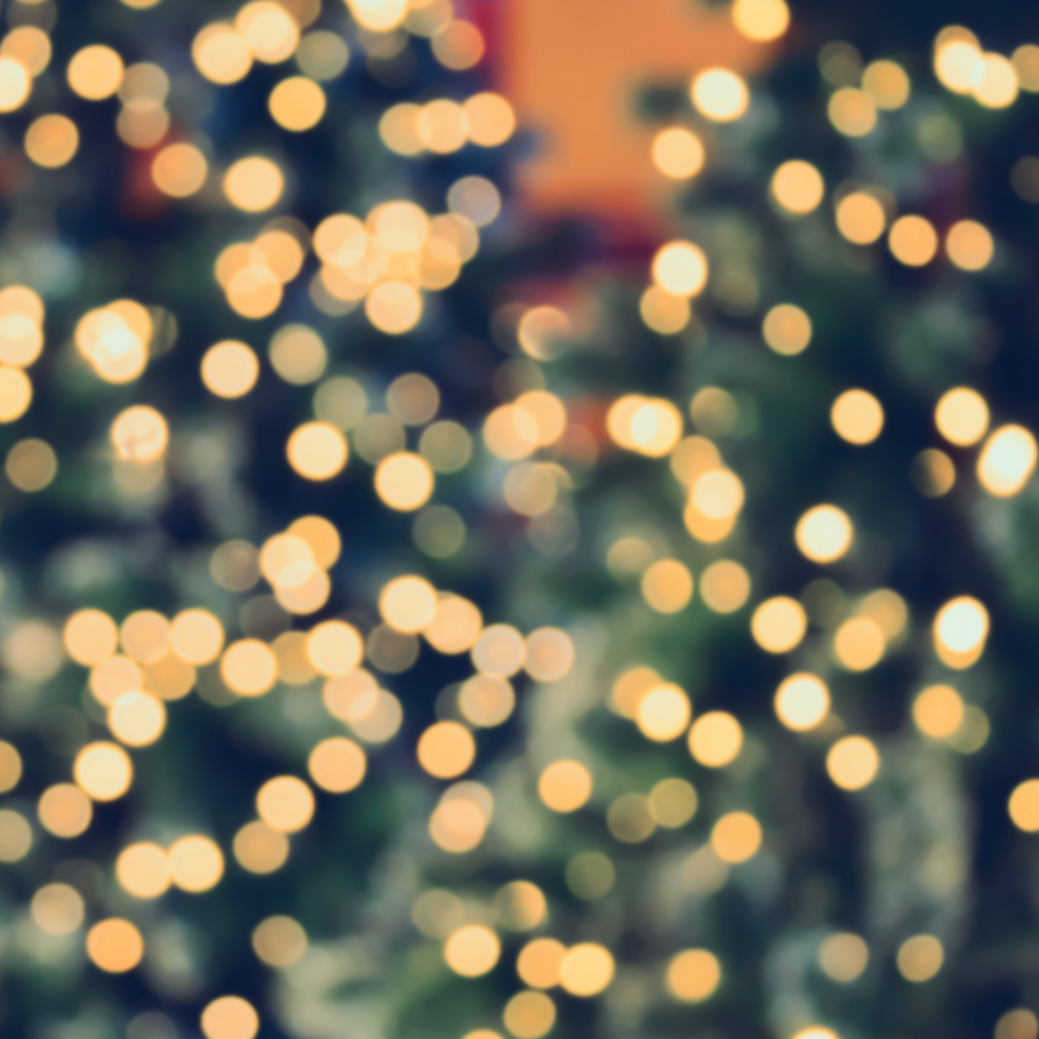 How Holiday Lights Affect Your Trees (And How to Do It Safely)