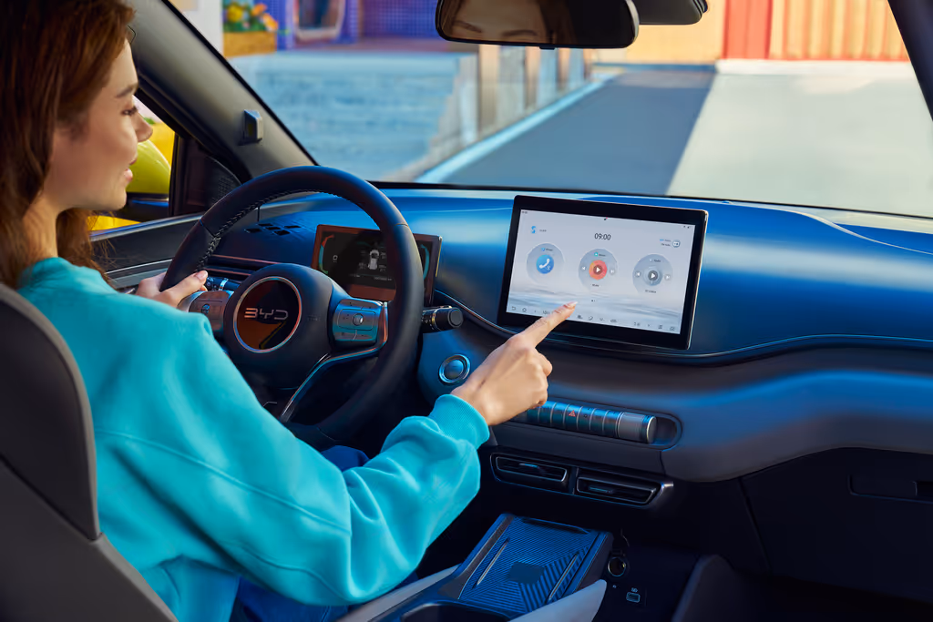 DOLPHIN SURF INNENRAUM