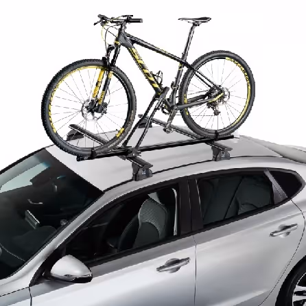 Cruz Fahrrad-Dachträger