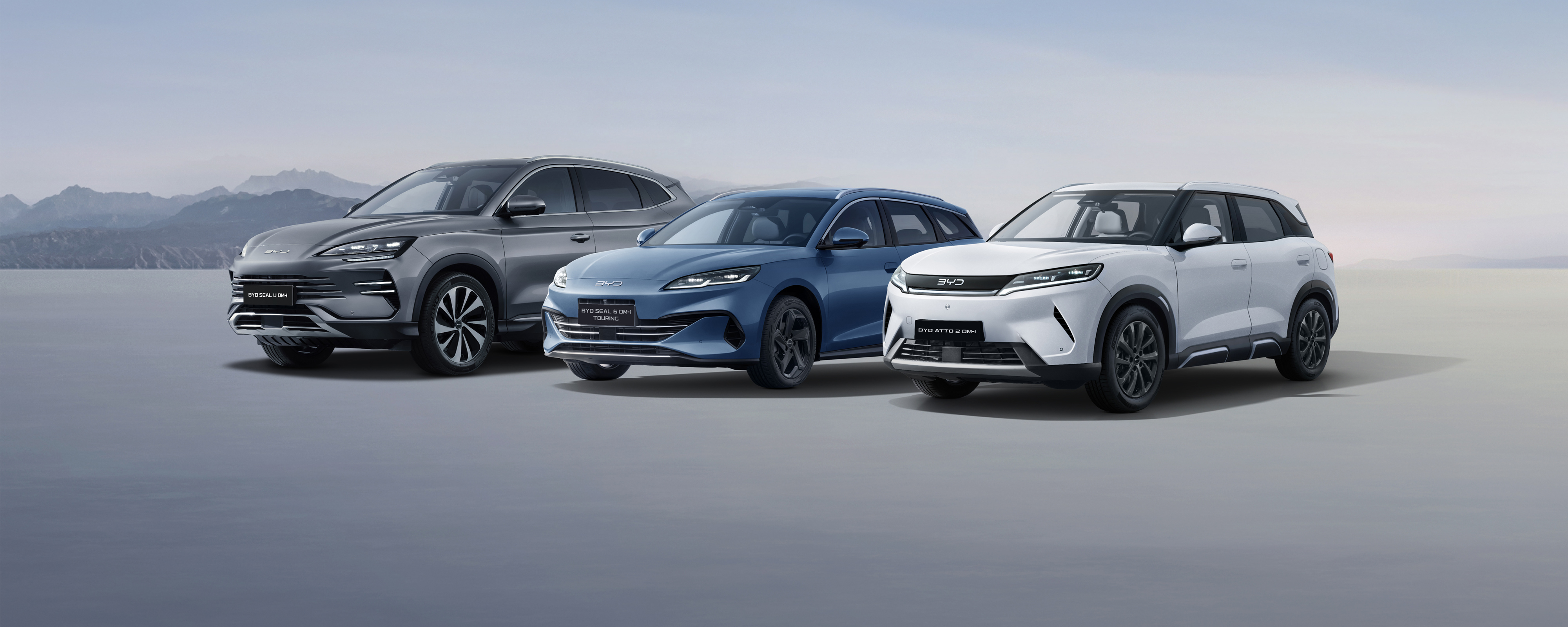 BYD Fleet