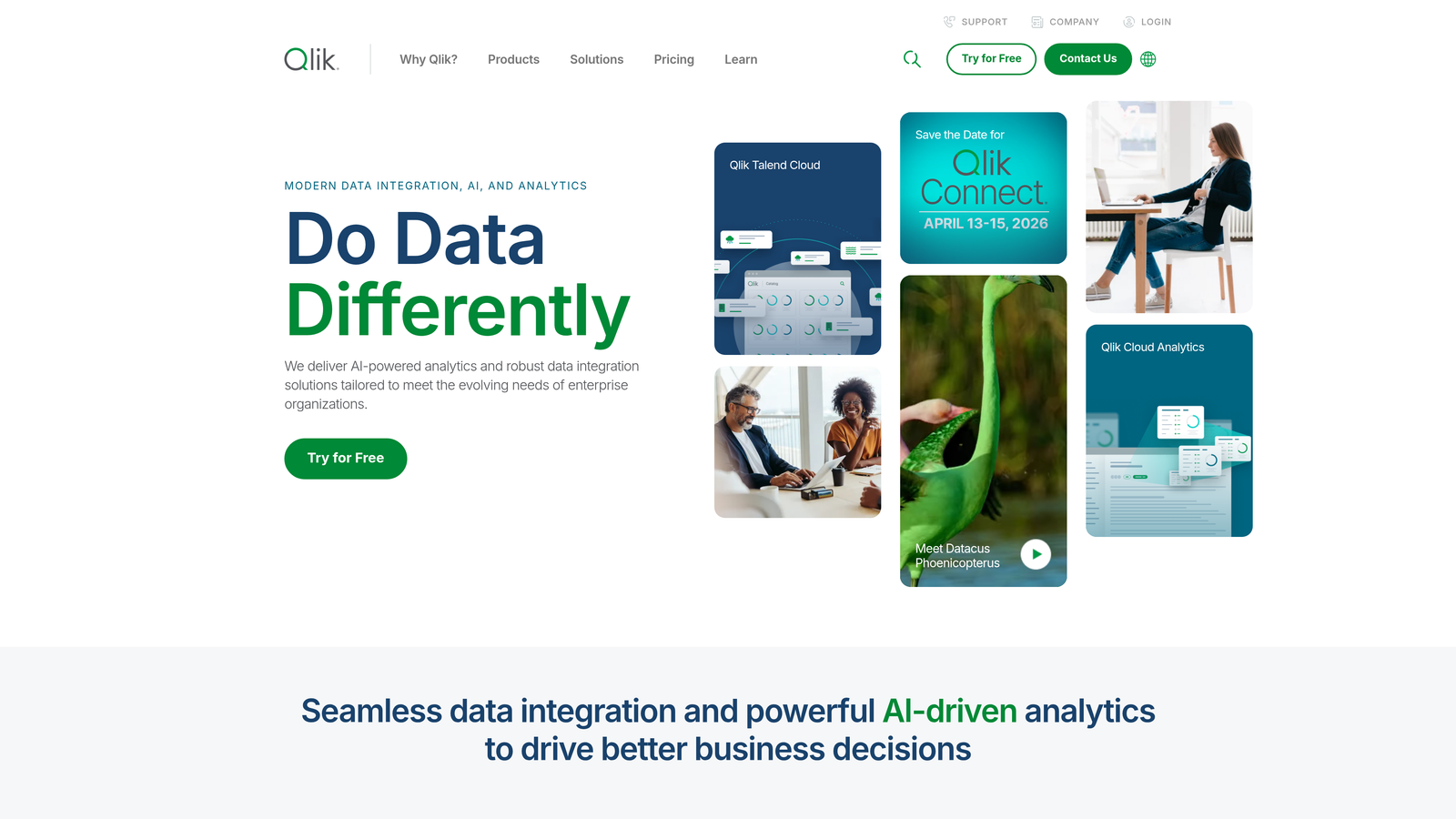 Qlik Sense