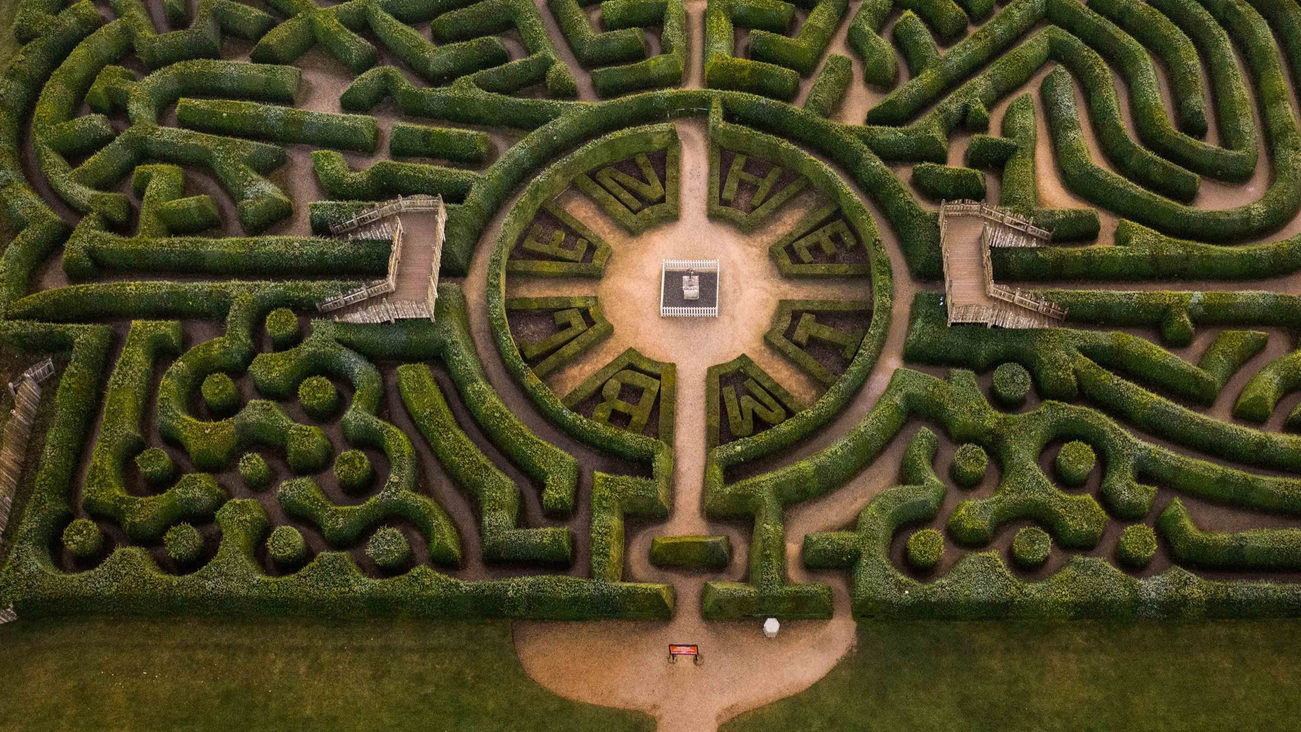 How the World's Foremost Maze-Maker Leads People Astray | The New Yorker