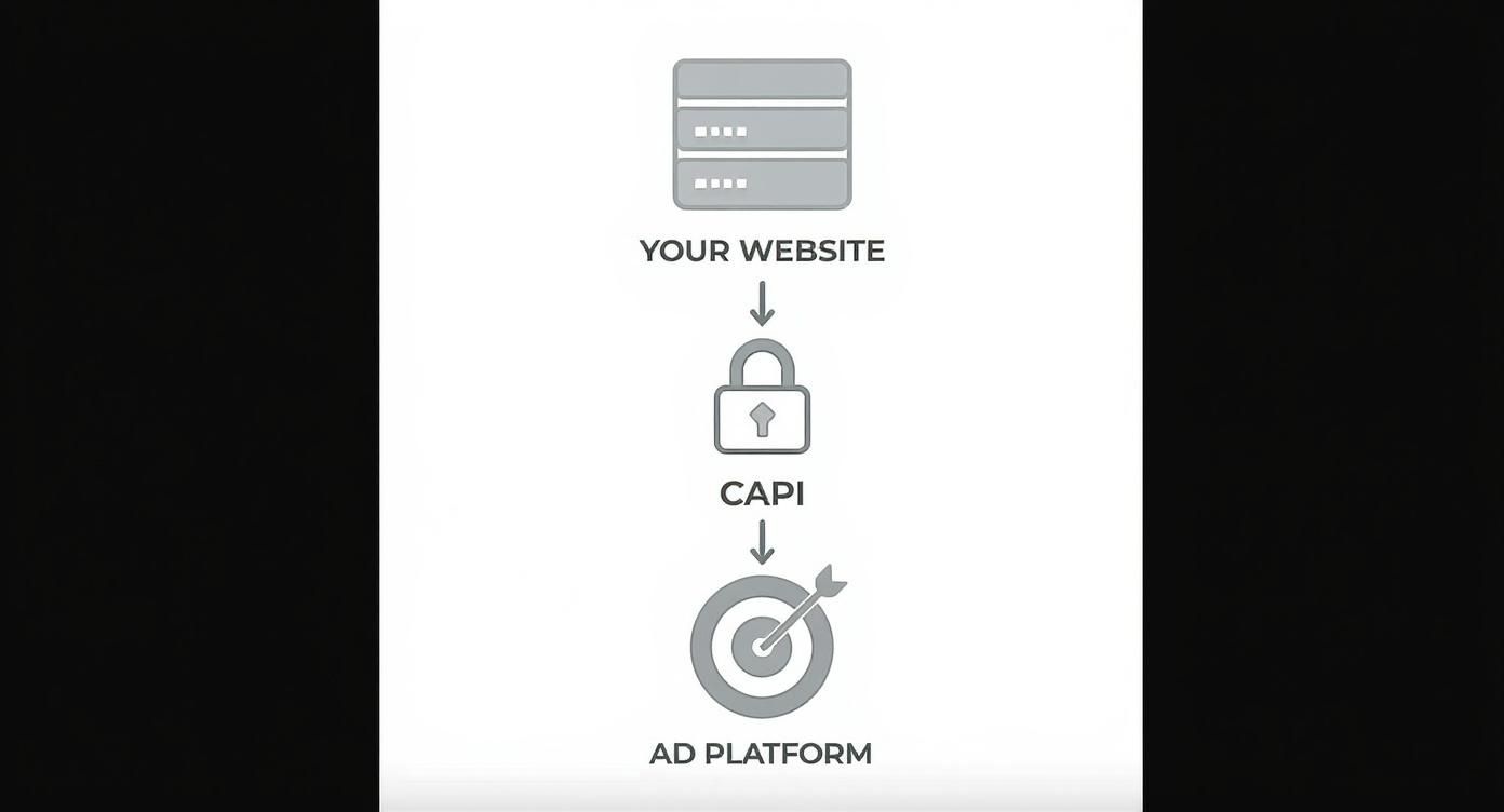 Infographic showing the data flow from a website server, through the Conversion API, to an ad platform.