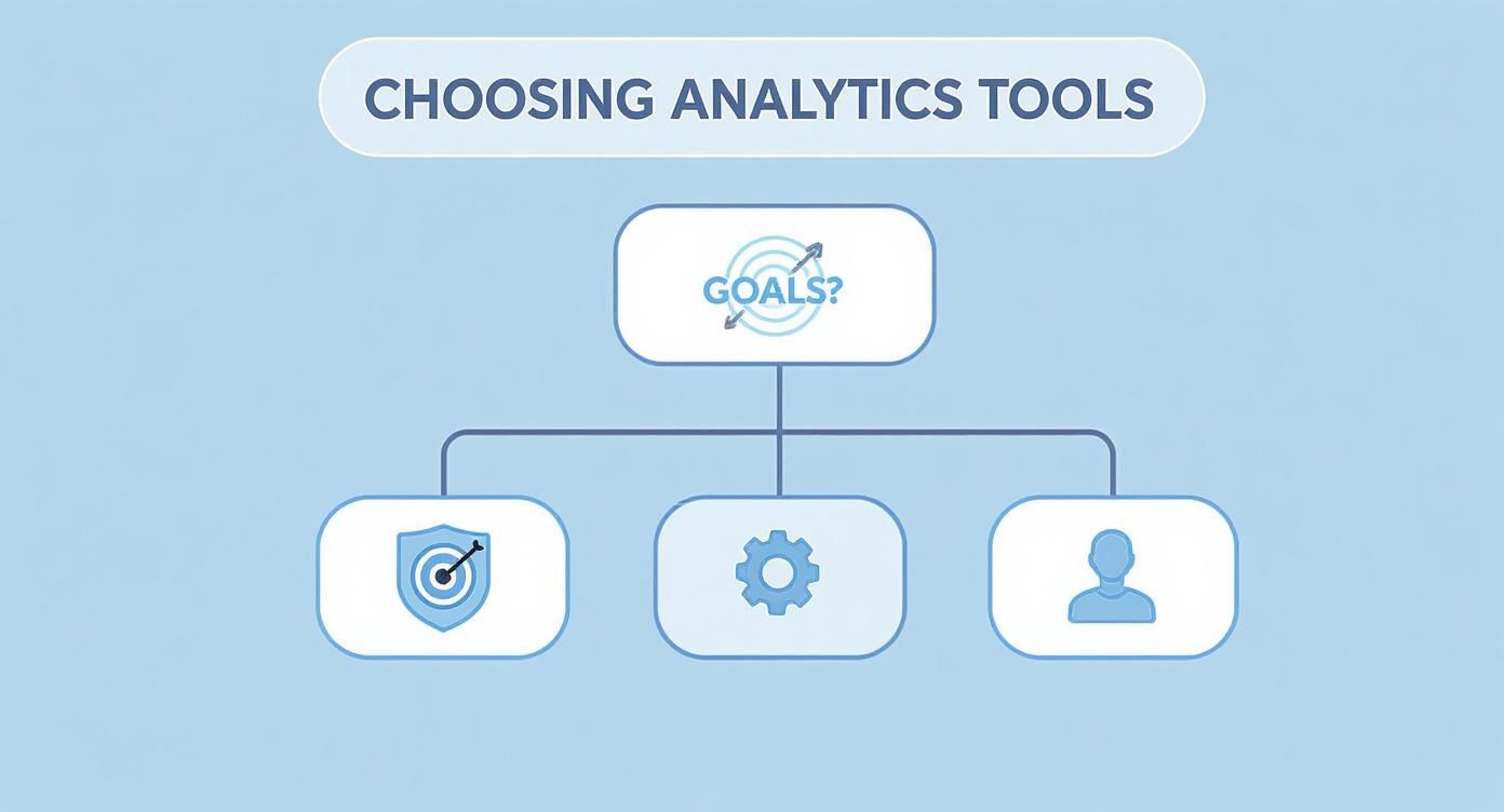 Infographic about marketing analytics platforms