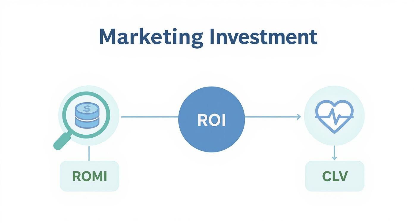 Diagram illustrating marketing investment flow from ROMI to ROI, ultimately impacting Customer Lifetime Value (CLV).
