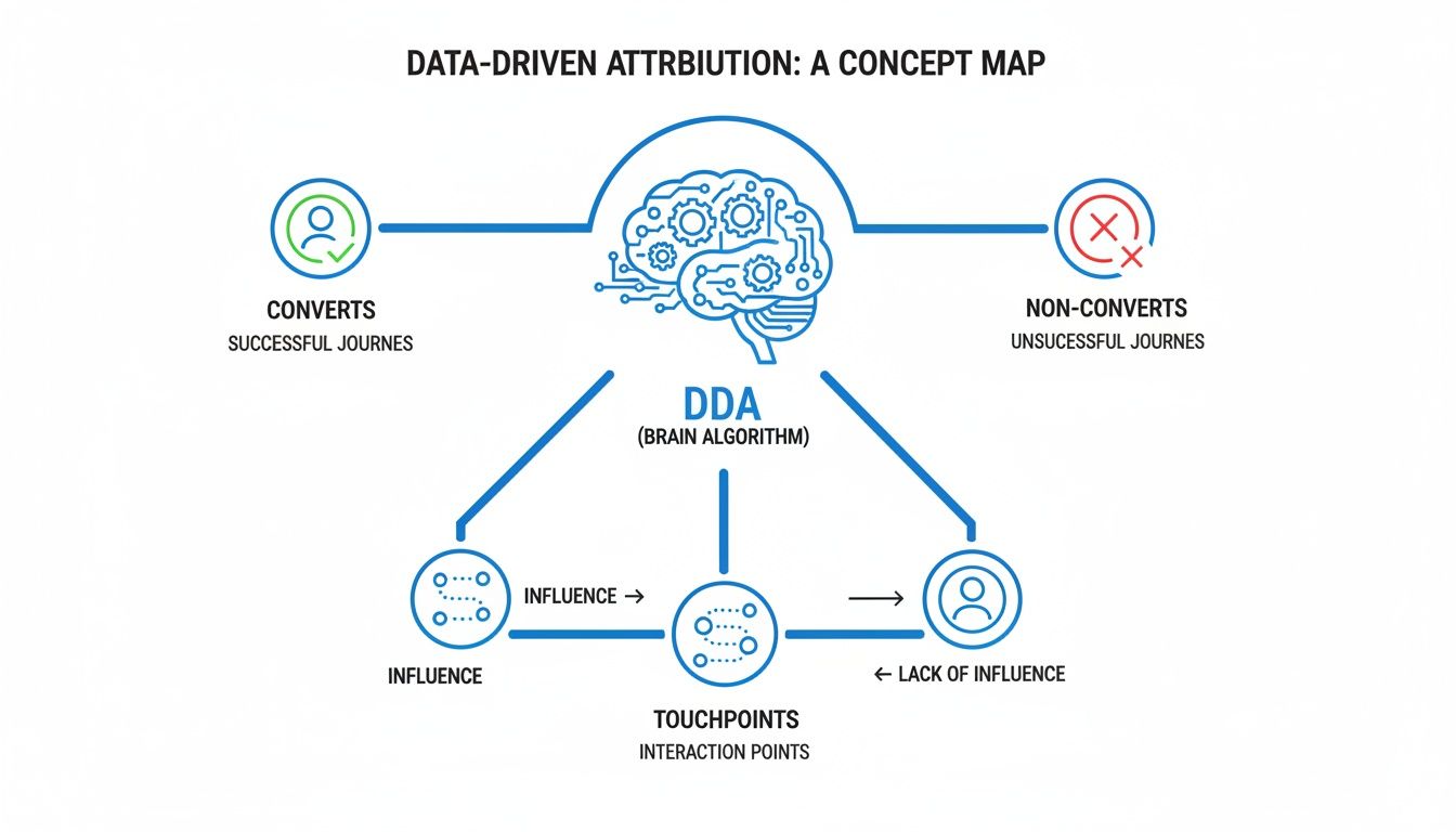 A concept map showing data-driven attribution (DDA) connecting successful and unsuccessful journeys, influence, and interaction points.