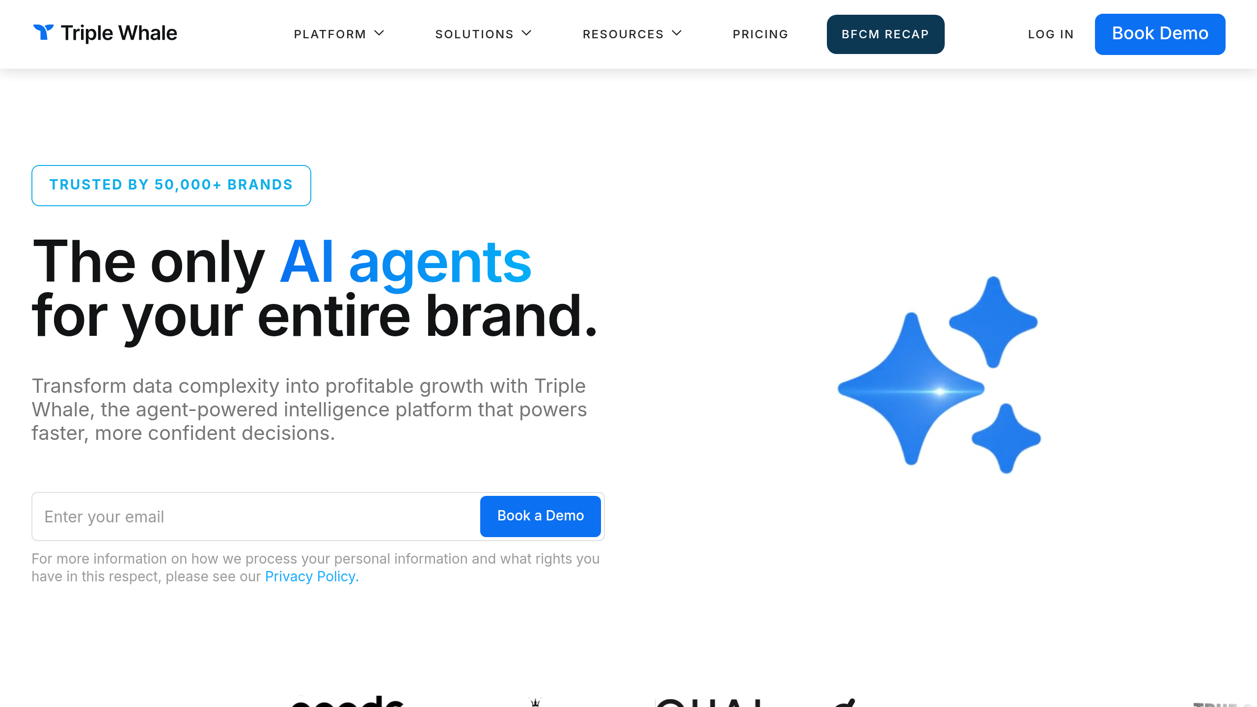 Screenshot of Triplewhale website homepage