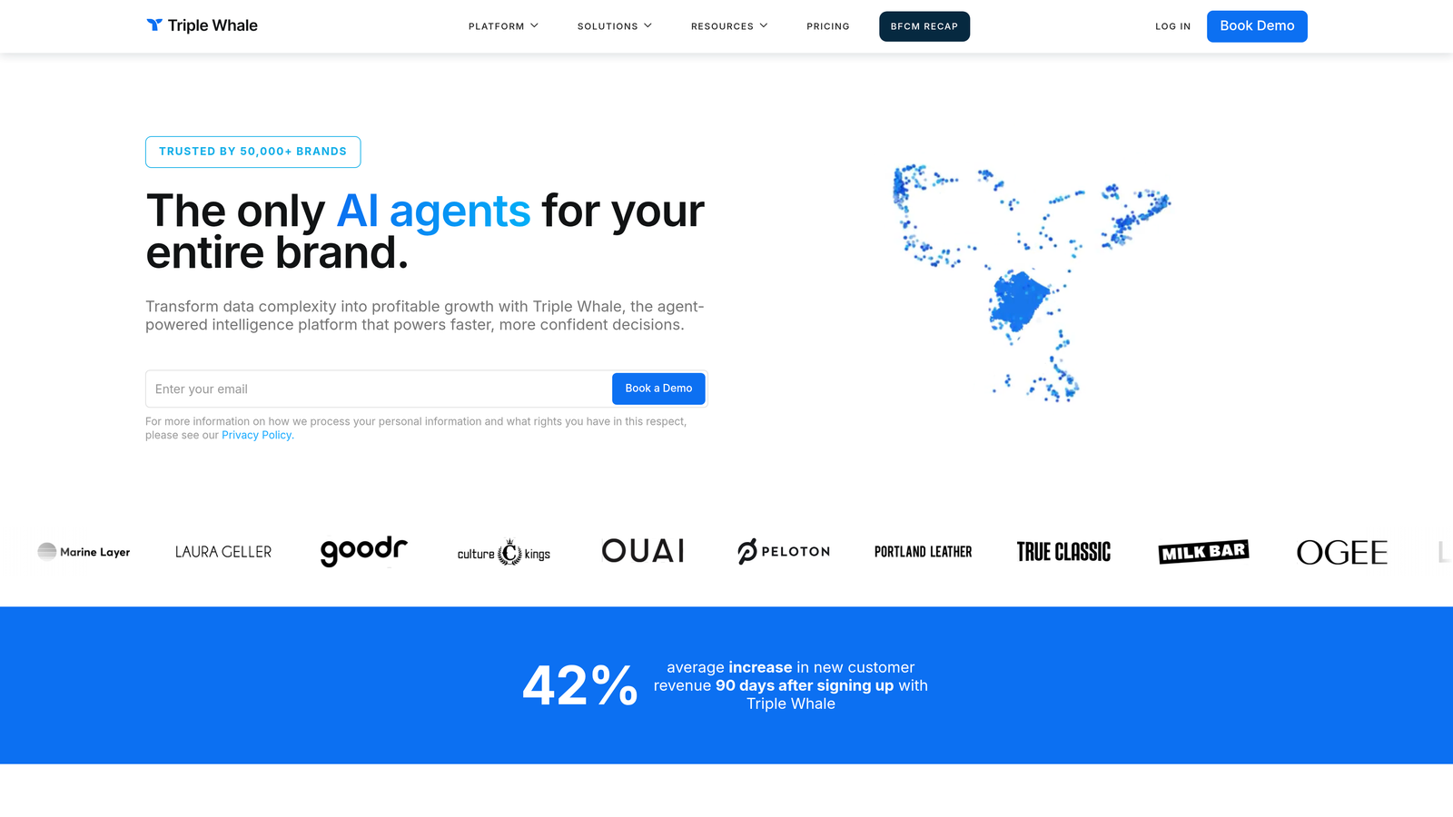 Screenshot of TripleWhale website homepage