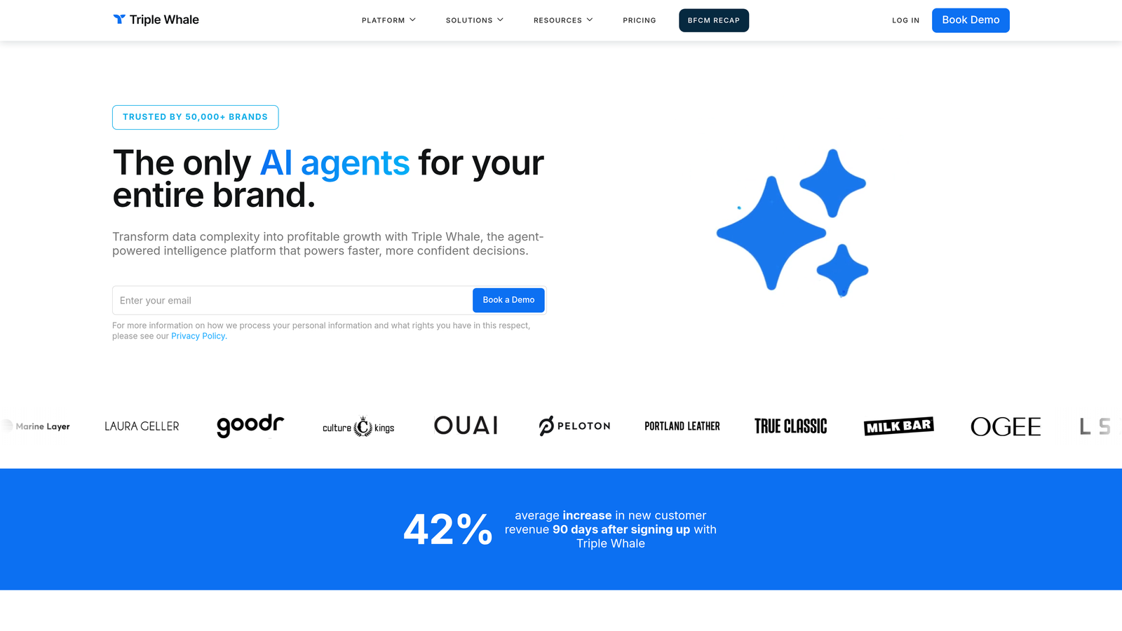 Screenshot of Triple Whale website homepage
