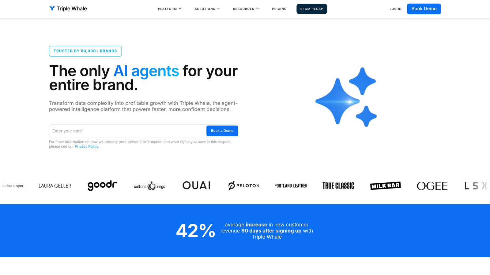 Screenshot of Triple Whale website homepage