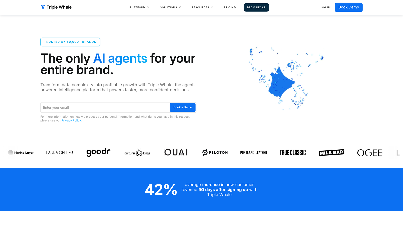 Screenshot of Triple Whale website homepage