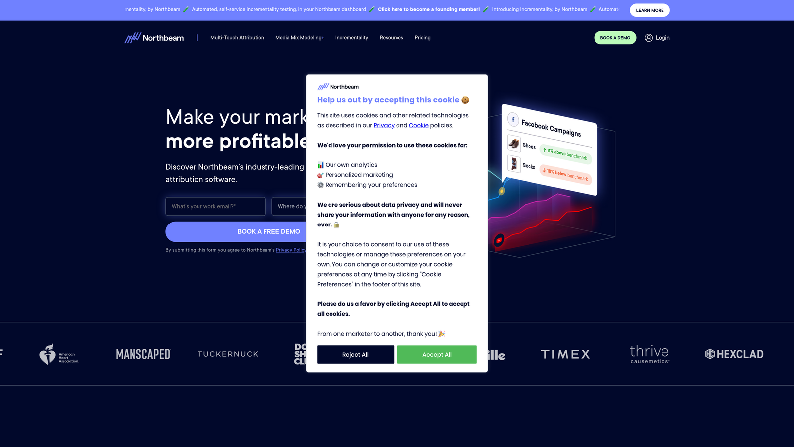 Screenshot of Northbeam website homepage