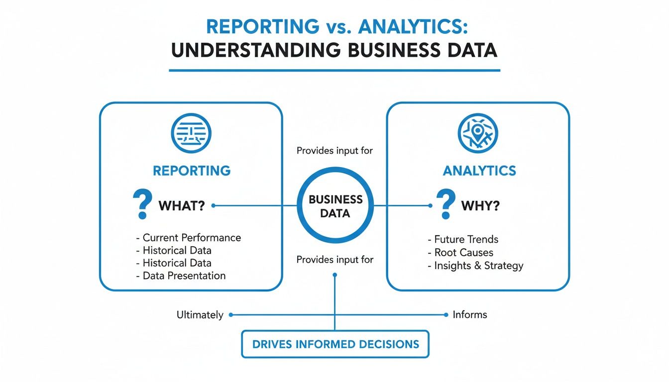 A diagram illustrating the difference between reporting (what) and analytics (why) in understanding business data to drive informed decisions.