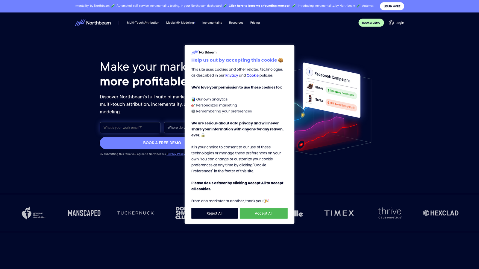 Screenshot of Northbeam website homepage