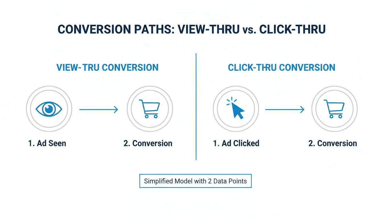 Diagram comparing view-thru and click-thru conversion paths, showing ad seen or ad clicked leading to conversion.