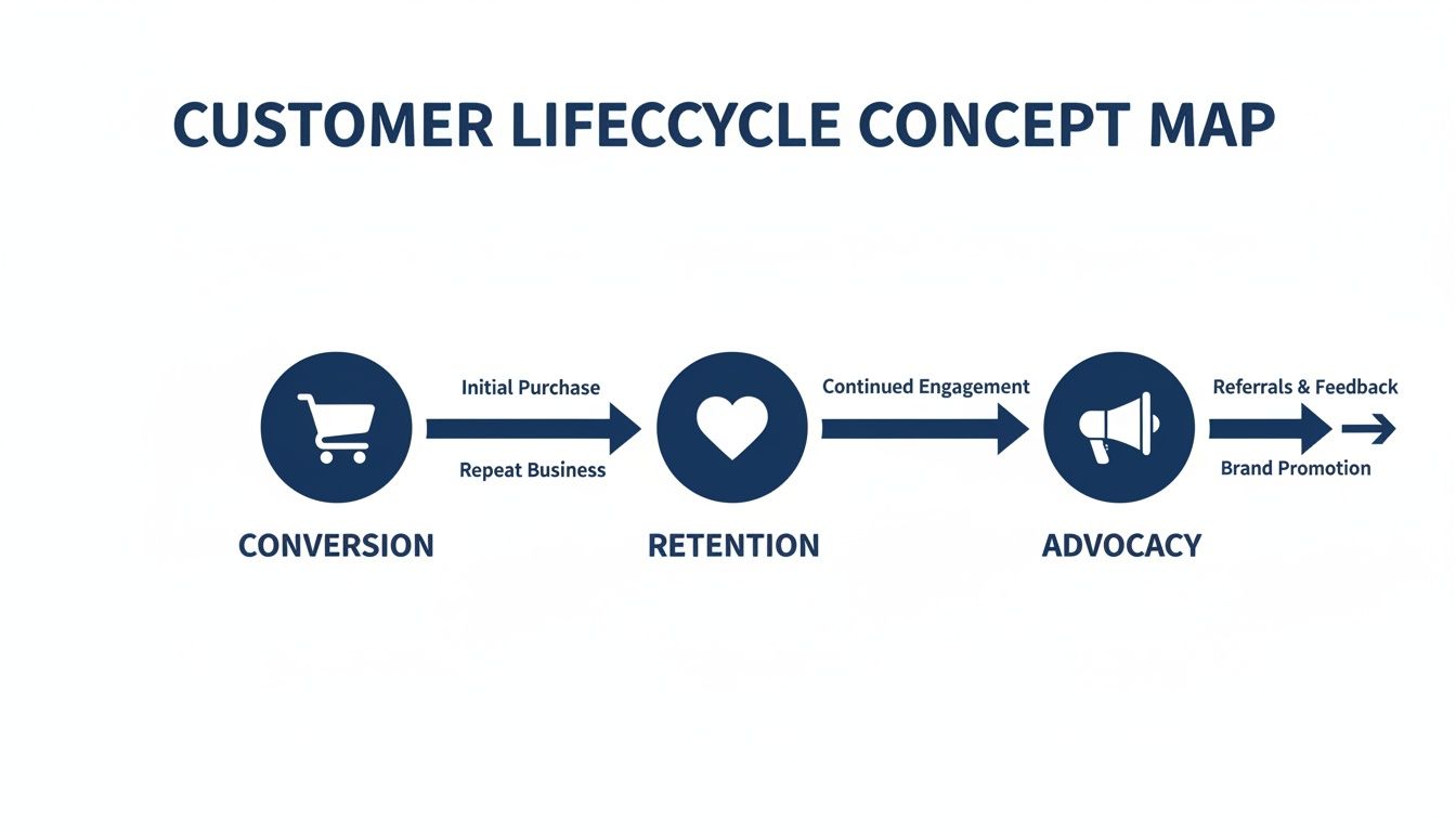 Infographic illustrating the customer lifecycle phases: conversion, retention, and advocacy with associated actions.