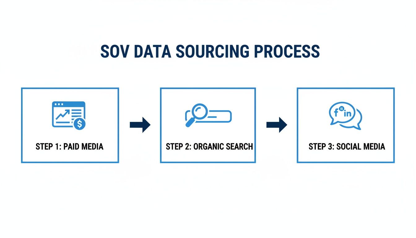 A diagram illustrating the SOV data sourcing process, including paid media, organic search, and social media.