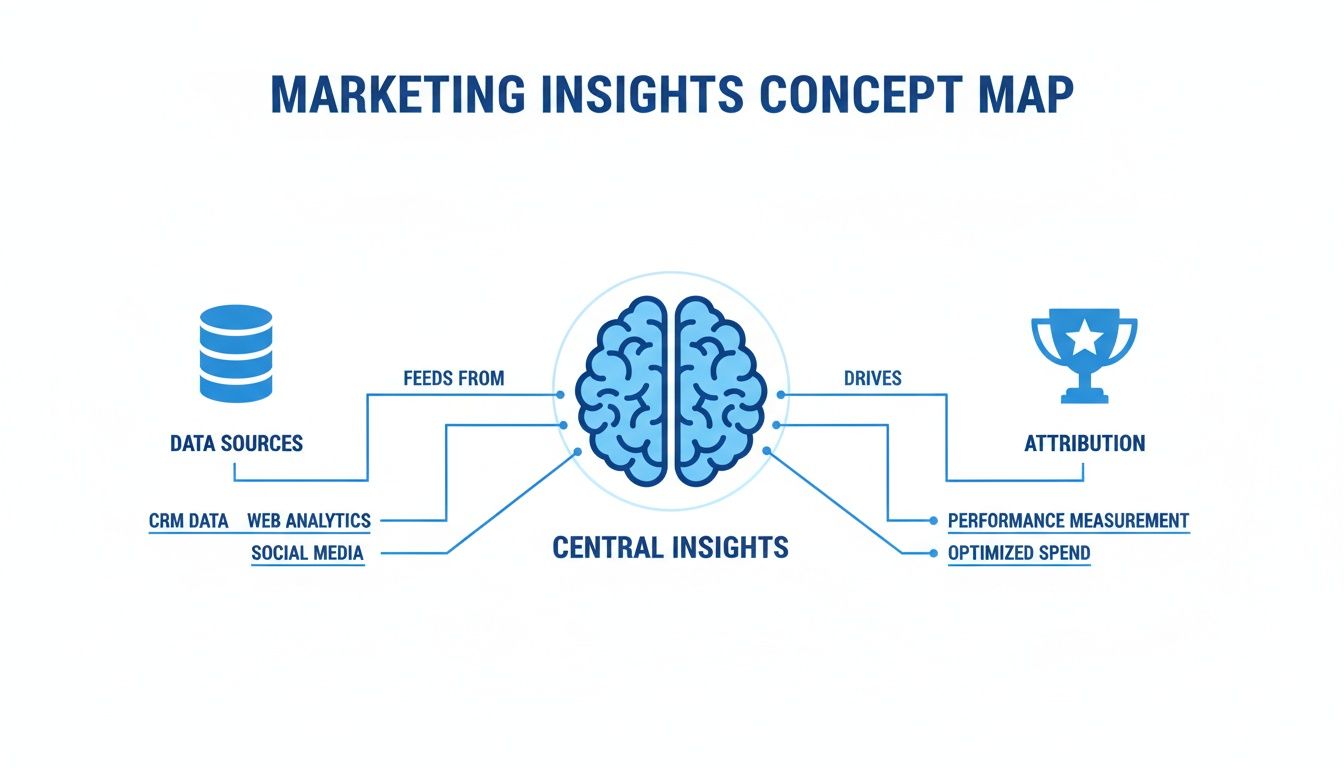 A marketing insights concept map showing data sources like CRM, web analytics, and social media feeding central insights which drive attribution, performance measurement, and optimized spend.