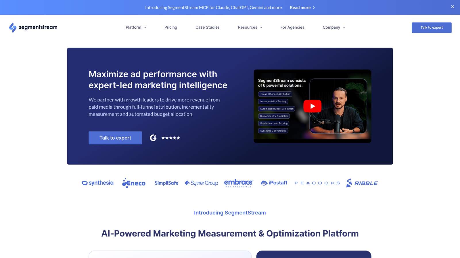 Screenshot of SegmentStream website