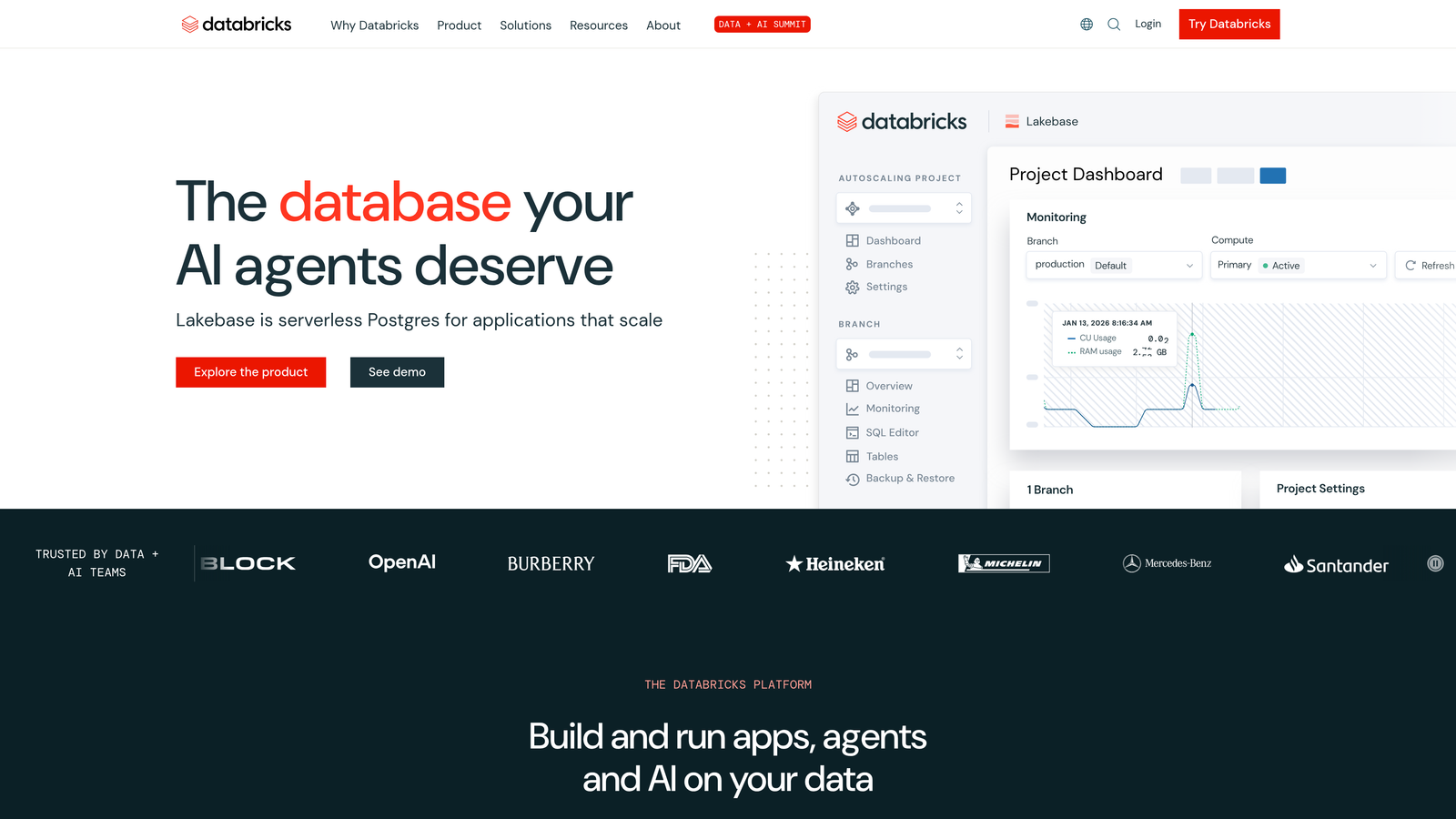Screenshot of Databricks website