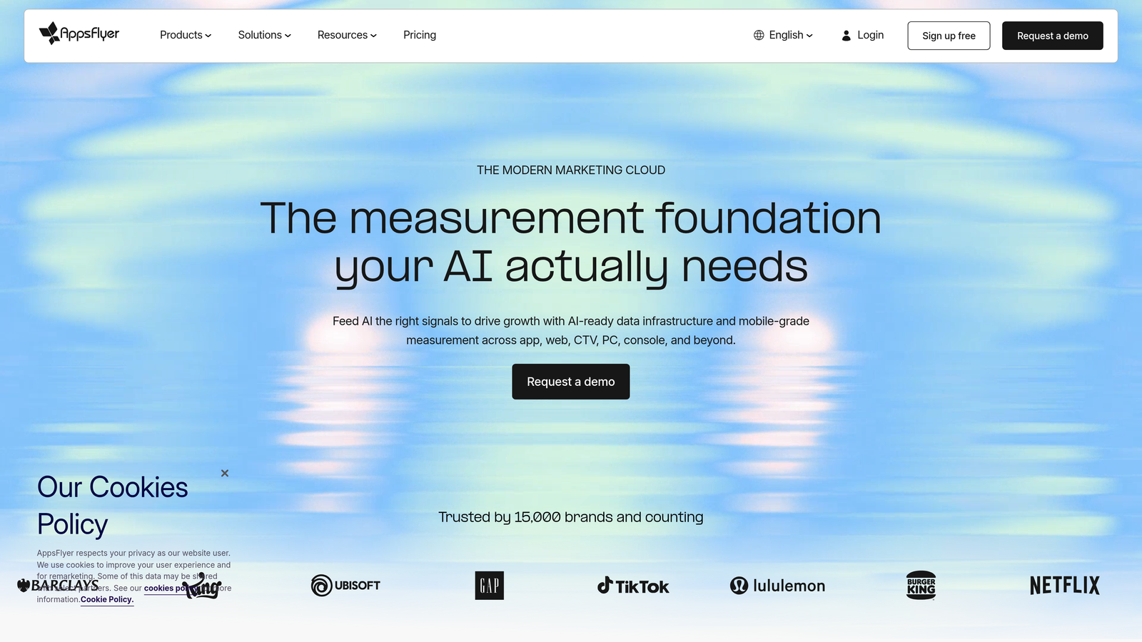 Screenshot of AppsFlyer website