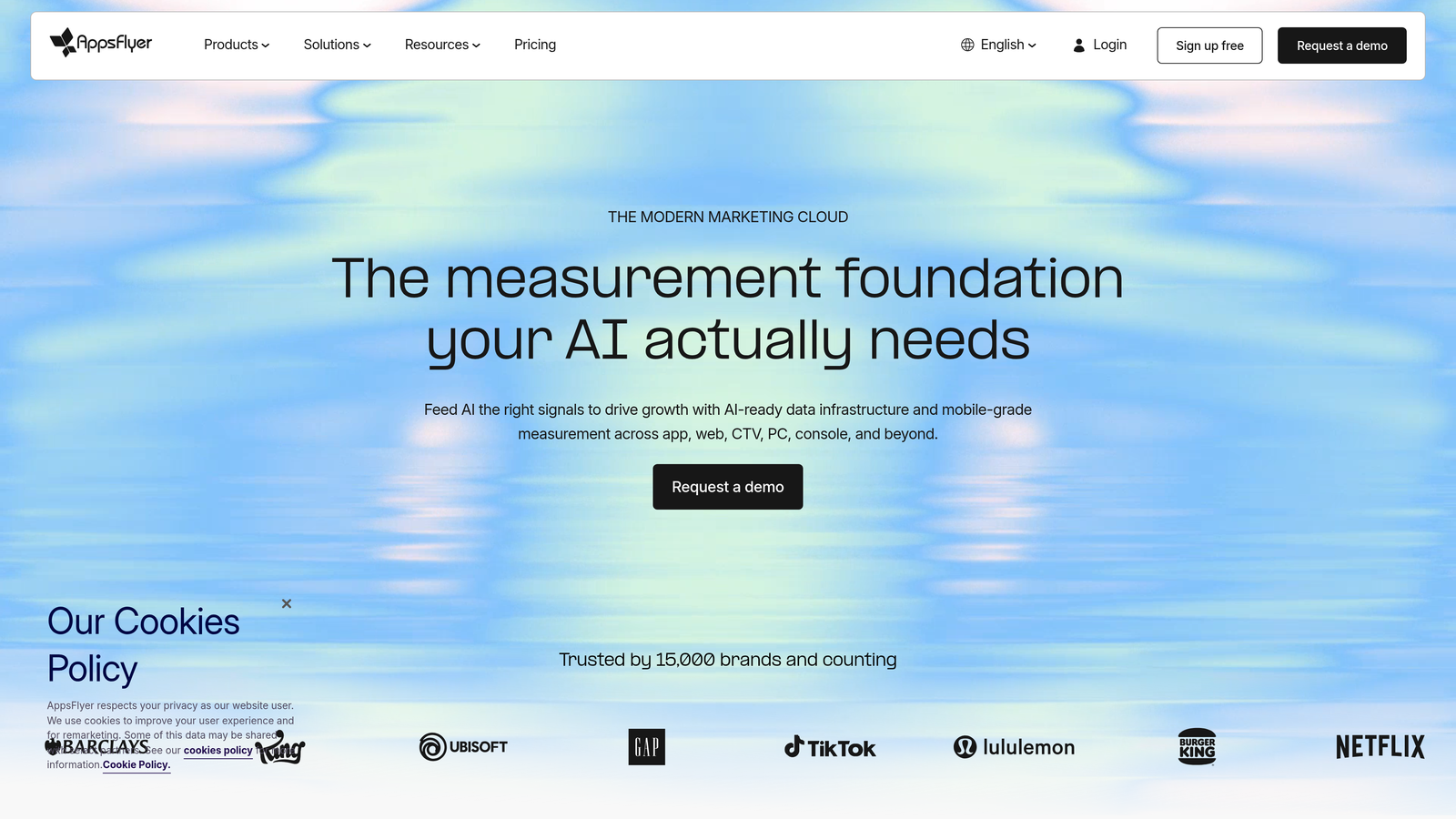 Screenshot of AppsFlyer website