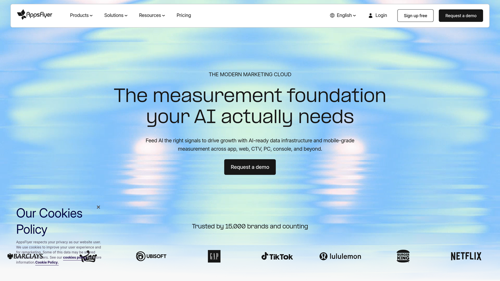 Screenshot of AppsFlyer website