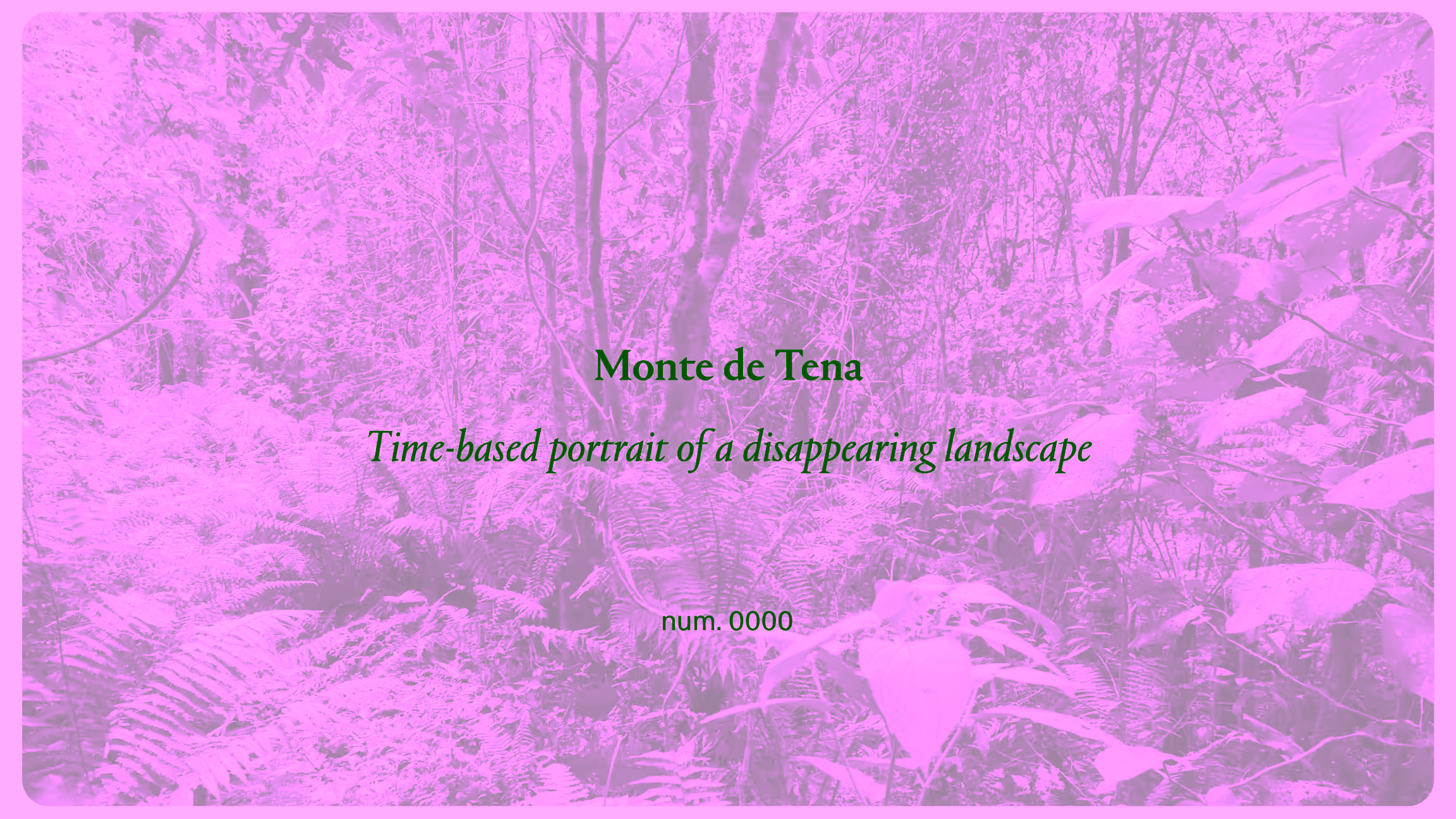Monte de Tena
