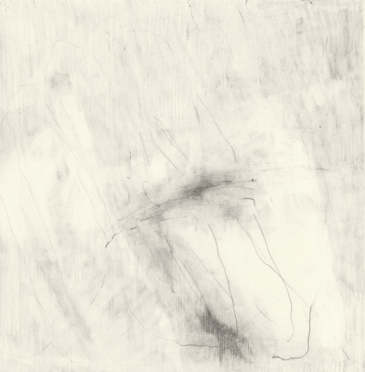 Abstract charcoal and pencil drawing with soft smudges and fine curving lines on a light background.