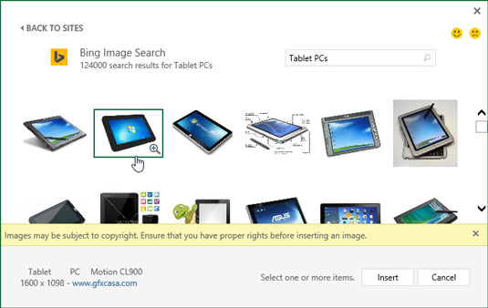 Selecting an image located with Bing Image Search to download into the current worksheet.