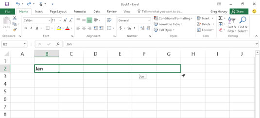 To enter a series of months, enter the first month and then drag the fill handle in a direction to 