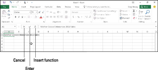 What you type appears both in the current cell and on the Formula bar.