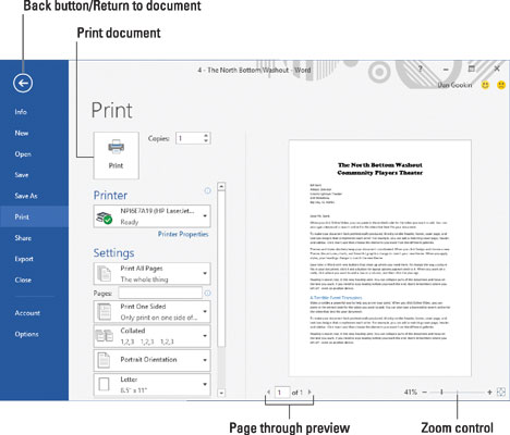 The Print screen in Word 2016.