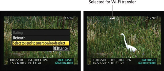 During playback, press the <b><i>i</i></b> button and then choose this option to tag a photo for wi