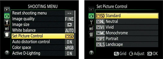 Set the Picture Control from the Shooting menu.