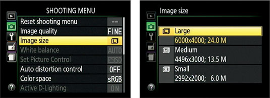 You also can set Image Size and Image Quality via the Shooting menu.