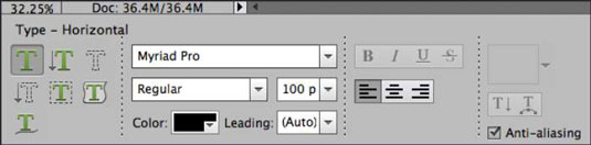 Specify your type options from the Tool Options.