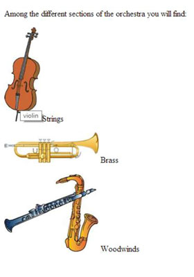 image1.jpg
