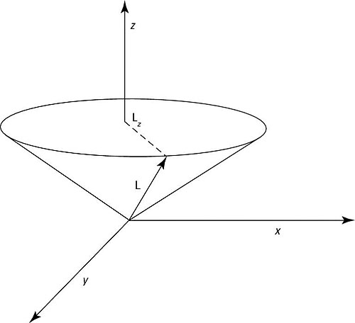 L and L<i><sub>z</sub></i>.