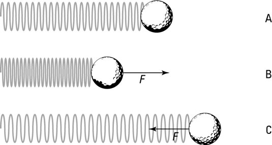 The direction of force exerted by a spring.