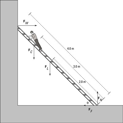 Keeping a ladder upright requires friction and rotational equilibrium.