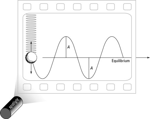 Tracking a ball’s simple harmonic motion over time.