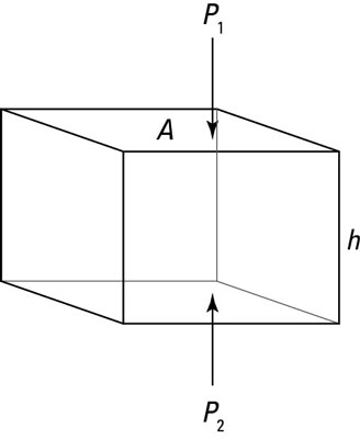 A cube of water has different pressures on the top and bottom faces.